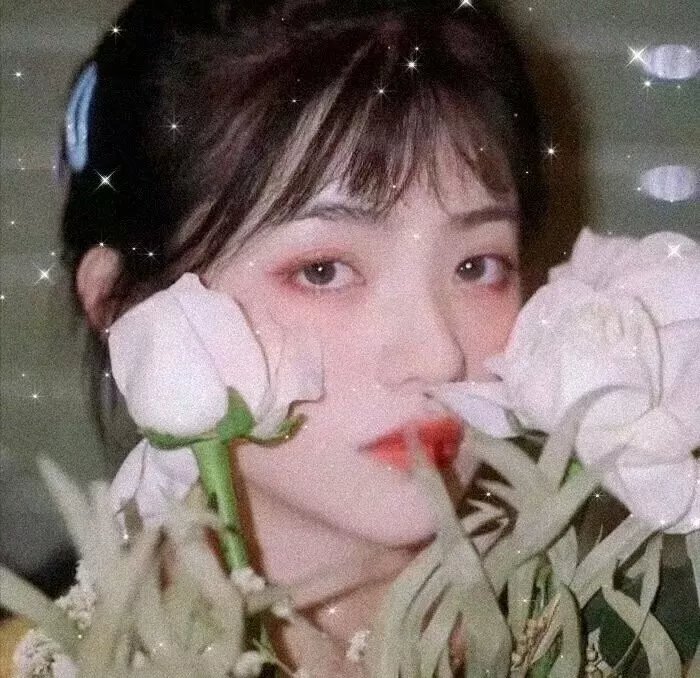 女特警2024